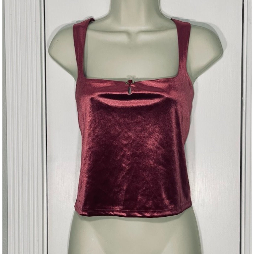 Wild Fable Sz. L Pink Velvet Crop Tank Y2K Balletcore Soft Glam Stretch Bralette